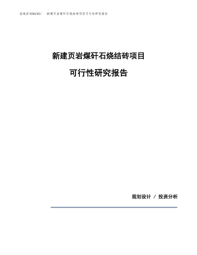 新建页岩煤矸石烧结砖项目可行性研究报告投资建设分析.docx